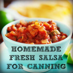 Homemade Fresh Salsa For Canning Recipe