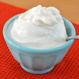 Homemade Frozen Greek Yogurt