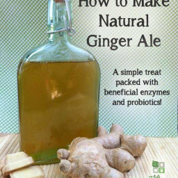 Homemade Ginger Ale Recipe