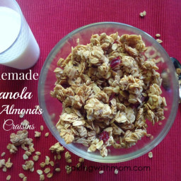 Homemade Granola With Almonds And Craisins