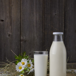 Homemade Hemp Milk Plant-Based Milk Alternative