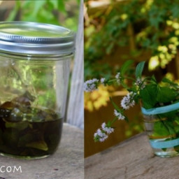 Homemade Peppermint / Mint Extract