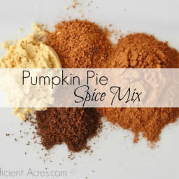 Homemade Pumpkin Pie Spice Mix