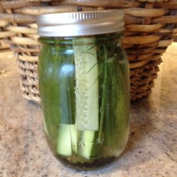 Homemade Refrigerator Dill Pickles