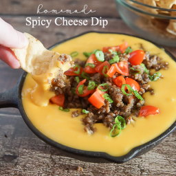 homemade-spicy-cheese-dip-recipe-1942113.png