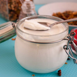 Homemade Yogurt from Scratch with just two ingredients