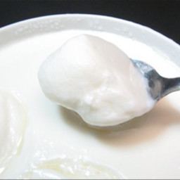 homemade-yogurt-simple-pleasure-4.jpg