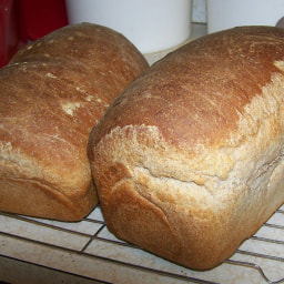 honey-whole-wheat-bread-1641218.jpg