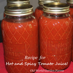 Hot and Spicy Tomato Juice