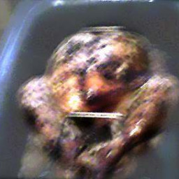 How to Make a Perfect Turkey in a Nesco Roaster Oven