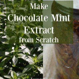 How to Make Chocolate Mint Extract