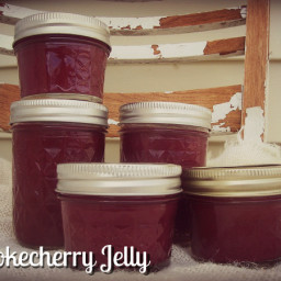 How to Make Chokecherry Jelly (low-sugar and honey variations)