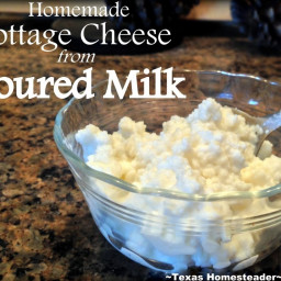 How To Make Homemade Cottage Cheese With Lightly-Soured Milk ~Texas Homeste