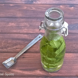 How to Make Mint Extract