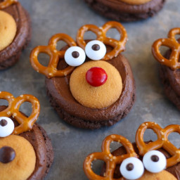 how-to-make-rudolph-cookies-2310762.jpg