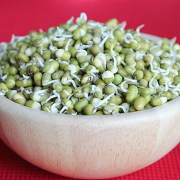 How to make sprouts | mung bean sprouts | green gram sprouts