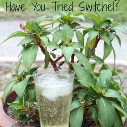 How to Make Switchel