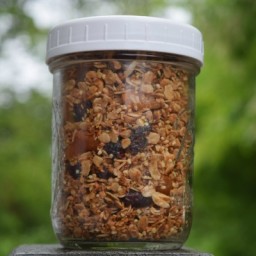 how-to-pump-more-milk-with-healthy-lactation-granola-2470660.jpg