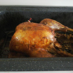 How to Roast a Perfect Turkey in a Nesco Roaster Oven