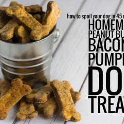 How to Spoil Your Dog in 45 Minutes: Homemade Peanut Butter, Bacon and Pump