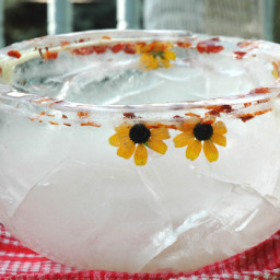 ice-bowls-1742161.jpg