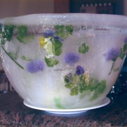 ice-bowls-2.jpg