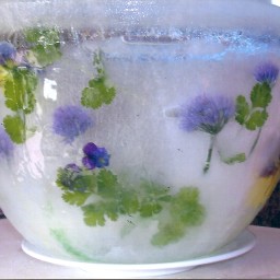 ice-bowls-3.jpg