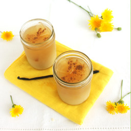 Iced Dandelion Vanilla Latte (sugar free, caffeine free, vegan, paleo)