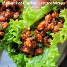 Instant Pot Chicken Lettuce Wraps (P.F.Chang's style) » Foodies 