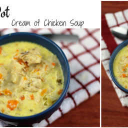 Instant Pot Cream Of Chicken Soup