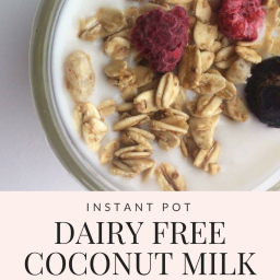 Instant Pot Dairy Free Coconut Milk Yogurt