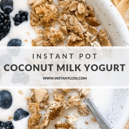 Instant Pot Dairy Free Coconut Milk Yogurt