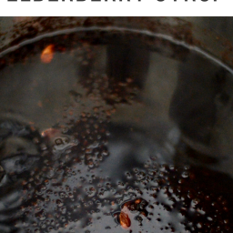 Instant Pot Elderberry Syrup