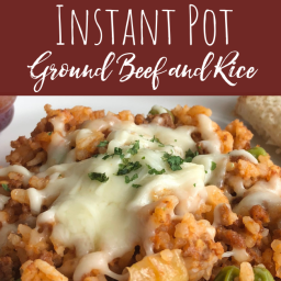 Instant Pot Ground Beef & Rice