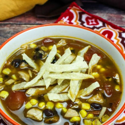 Instant Pot Mexican Chicken Tortilla Soup