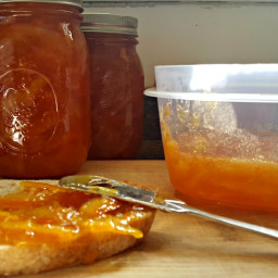 Instant Pot Orange Marmalade Recipe in About an Hour!