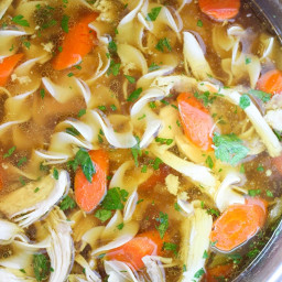 Instant Pot Pressure Cooker Chicken Noodle Soup