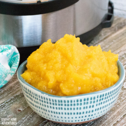 instant-pot-pumpkin-puree-256a7d-e9a0de5d295b0b475cb1c13f.png