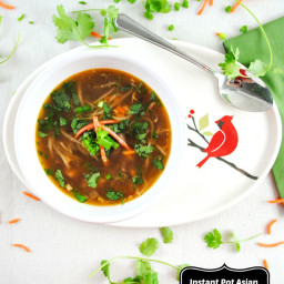 Instant Pot Spicy Asian Chicken Soup