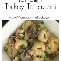 Instant Pot Turkey Tetrazzini