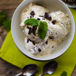 Isaac Mizrahi's Mint Chocolate Chip Ice Cream
