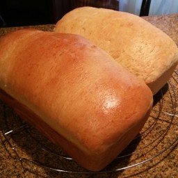 jamaican-hard-dough-bread.jpg