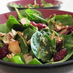 Jamie’s Cranberry Spinach Salad
