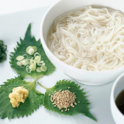 Japanese Cold Noodles