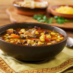 Johnsonville(r) Flame Grilled Southwestern Chicken Soup