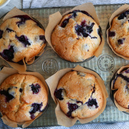 Jordan Marsh's Blueberry Muffins
