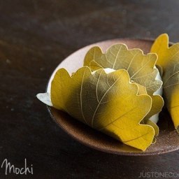 Kashiwa Mochi