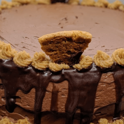 Keto Peanut Butter Chocolate Protein Cake