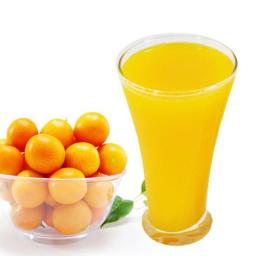 Kumquat Puree