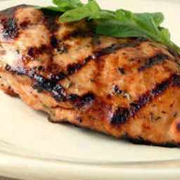 lager-and-lemon-grilled-chicken-2473957.jpg
